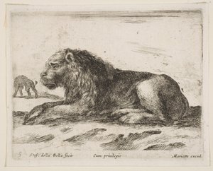 Deska 5: ležící lev, z Různá zvířata Diversi animali, 1641. od Stefano della Bella