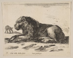 Deska 5: ležící lev, z Různá zvířata Diversi animali, ca. 1641. od Stefano della Bella