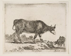 Deska 7: vůl, z Různá zvířata Diversi animali, ca. 1641. od Stefano della Bella