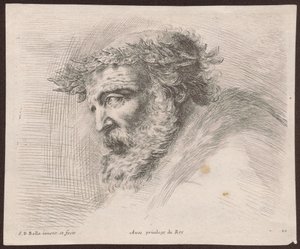 Studie hlavy vousatého starce s vavřínovým věncem, z profilu, obráceného doleva, ze série Principii del disegno