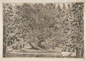 The Tree House v Pratolino, ca. 1653. od Stefano della Bella