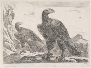 Dva orli s hlavami vpravo Eagles (název série) od Stefano della Bella