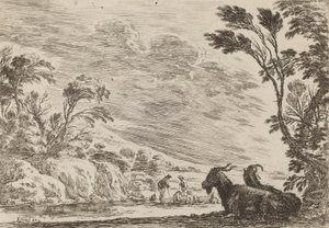 Dvě ležící kozy, 1642. od Stefano della Bella