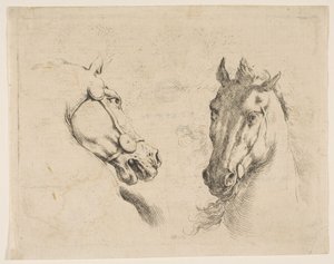 Dvě koňské hlavy, ca. 1649. od Stefano della Bella