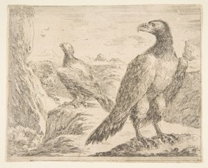 Dva orli, od Eagles Les aigles, ca. 1651. od Stefano della Bella