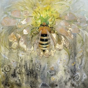 Zlatá včela na květu od Stephanie Law