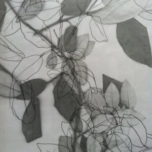 Botanical, 2014 (digitální) od Stephen Dow