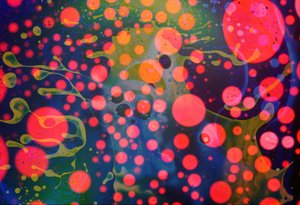 Splatter Monster, 2024