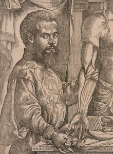 Andreas Vesalius pitvající svaly předloktí mrtvoly, 1543. od Steven van Calcar