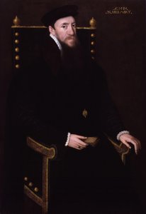 Henry Fitzalan, 12. hrabě z Arundelu