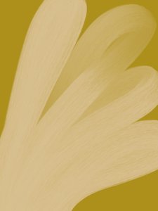 Abstrakt: Zlatý proud od Studio Palette