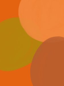 Teplé zemité kruhy od Studio Palette