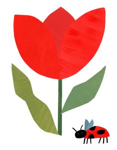 Červený tulipán a beruška od Susan Black