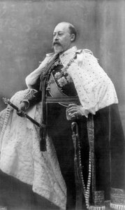 Král celý svět truchlí, 1910. od Swain