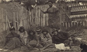 V Pawhakiro Pa, Hawkes Bay, Nový Zéland, kolem roku 1865 (tisk alba) od Swan and Wrigglesworth