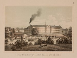 Bavlna, Stromsbro, Švédsko, kolem roku 1840 (barevné lito) od Swedish School
