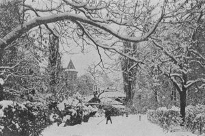 Neuchatel, Anglická zahrada (č/b foto) od Swiss Photographer