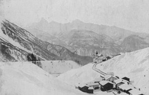 Wiesen pres Davos (černobílá fotografie) od Swiss Photographer