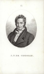 Augustin Pyramus de Candolle od Swiss School