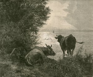 Brzy ráno na Curyšském jezeře od Swiss School