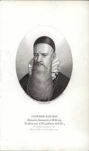 Gaspard Bauhin od Swiss School