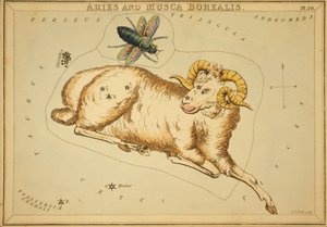 Beran a Musca Borealis, ilustrace z 