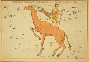 Camelopardalis, Tarandus a Custos Messium, ilustrace z 