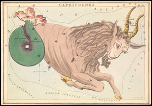 Capricornus, asi 1825 (karta, papír, hedvábí ) od Sydney Hall
