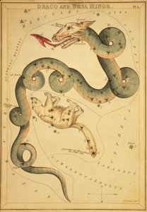Draco a Ursa Minor, ilustrace z 