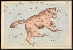 Ursa Major, asi 1825 (karta, papír, tkanivo) od Sydney Hall