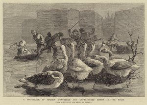 Rozdíl v názorech, opeření a neopeření Dvounožci v mrazu od Sydney Prior Hall