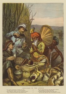 Vánoce v džungli (chromolitho)