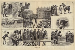 Nedávná návštěva indického kontingentu v Anglii, ve Stowe House, setkání graftonských foxhoundů