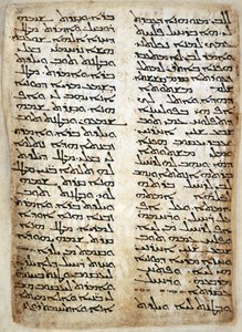 Přidat. 14425, f.31, Textová stránka z Pentateuchu. (Genesis, Exodus, Numbers, Deuteronomium), 464 (vellum) od Syrian Syrian