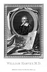 William Harvey, lékař, 1777. od T. Cook