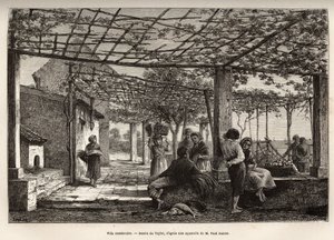 Villa Menton, rytina podle Taylorovy kresby, ilustrující cestu Menton a Bordhighera, v roce 1871, Adolphe Joanne, publikovaná v „Le tour du monde““ 1874, editoval Edouard Charton, vydání Hachette, Paříž. Kolekce Selva.