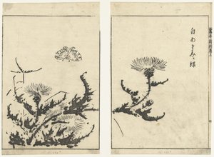 di s t ls en v v r gahon shinkoku makiage od Tachibana Morikuni (attributed to)