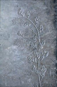Stéla s vyrytým krisantémem, květy a listy, 618-907 (kámen) od Tang Dynasty Chinese School