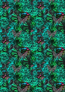 Papillon od Tara Whitehead