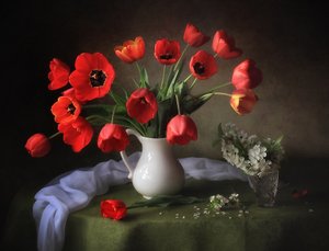Zářivě červené tulipány od Tatyana Skorokhod