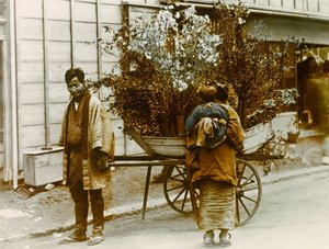 Potulný prodavač květin v ulicích Tokia, asi 1900 - 1915 (fotografie)