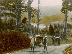 Japonská dívka v Kago, oblast Hakone, asi 1900 - 1915 (fotografie)