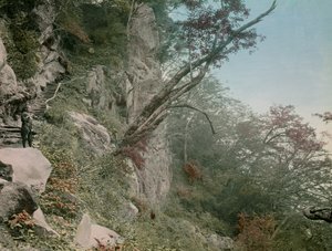 na cestě k vodopádům Kegon v Nikko, asi 1900-1915 (fotografie) od Teijiro Takagi