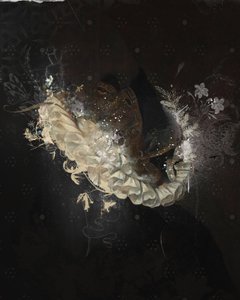 CollarFloral, 2017 (koláž na plátně) od Teis Albers