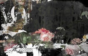 Vogued, 2015 (koláž na plátně) od Teis Albers