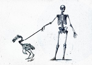 Walking my dodo, 2015 (kombinovaná média na plátně) od Teis Albers