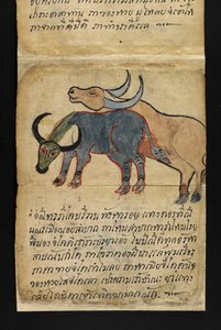 Nebo. 16482, f.15 