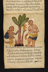 Nebo. 16482, f.21 