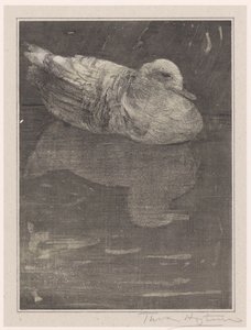 plovoucí kachna od Theo van Hoytema (signed by artist)