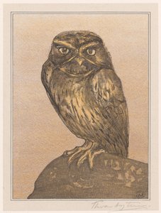 Malá sova na skále od Theo van Hoytema (signed by artist)